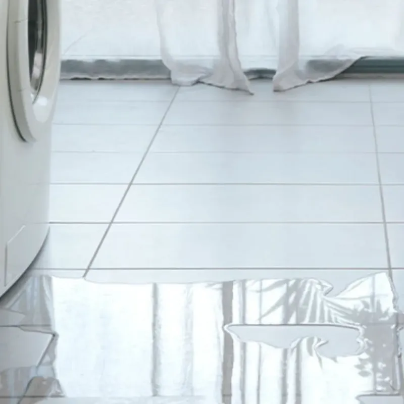 Appliance Leak Cleanup in Rocklin, CA