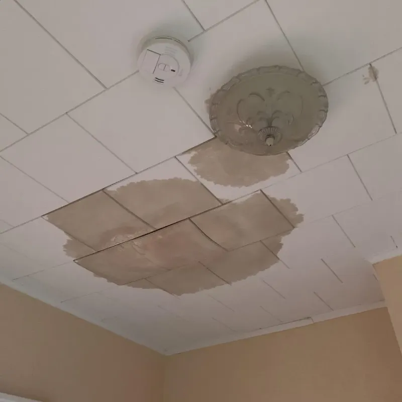 Ceiling Water Damage Repair in Rocklin, CA